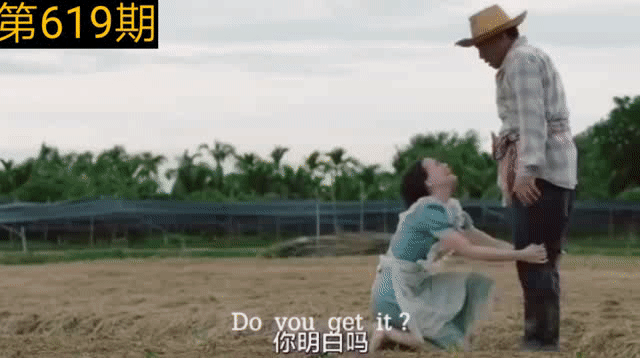 【沙雕广告】广东小白菜